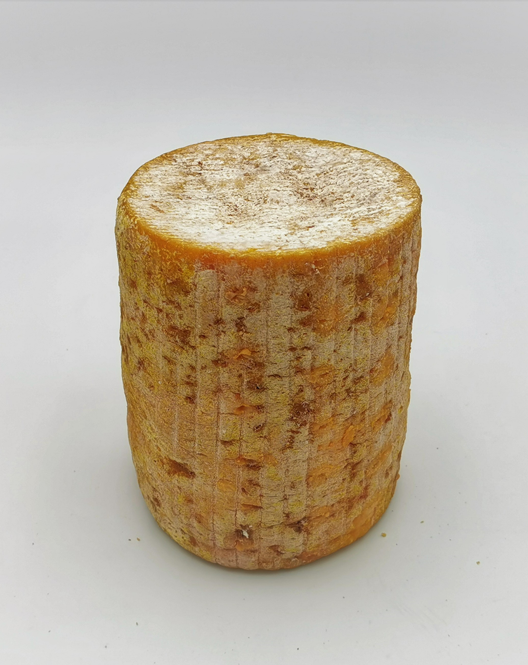 FOURME DE MONTBRISON AOP